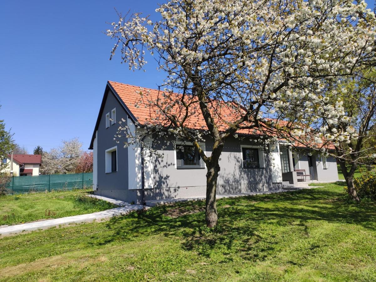 Villa Venkovsky Dum Dolni Prim Extérieur photo